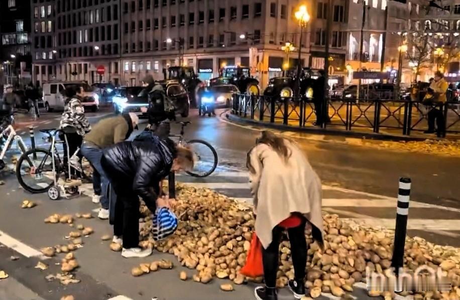 比利时人正在路边捡拾欧洲农民抗议欧盟时倾倒的土豆。土豆一度作为农民抗议时向比利时