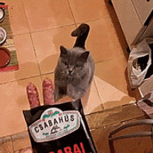 早上好，朋友们。春节后第二周，深圳路上行人逐渐多了起来。看来大家都回来上班当牛马