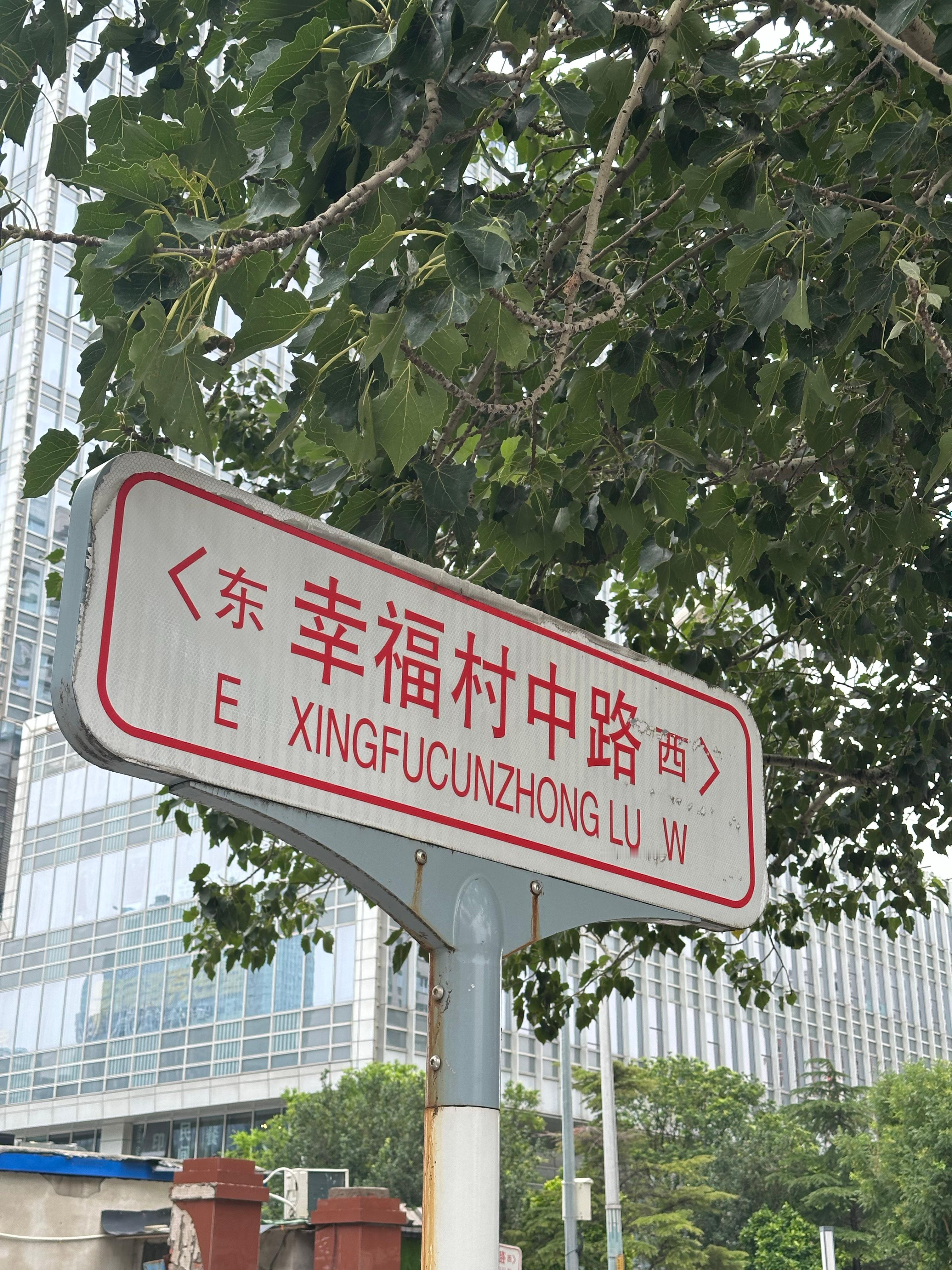 闪现北京[喵喵]开启一段抛夫弃猫的solo trip～  ​​​