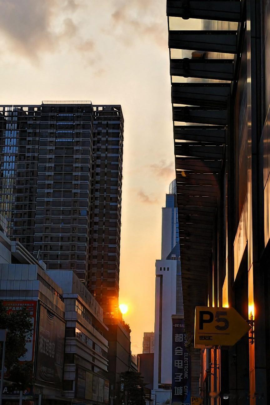 我曾以为谈钱俗气，

总觉得精神丰盈才是真意。

可岁月教会我：

成年人的体面