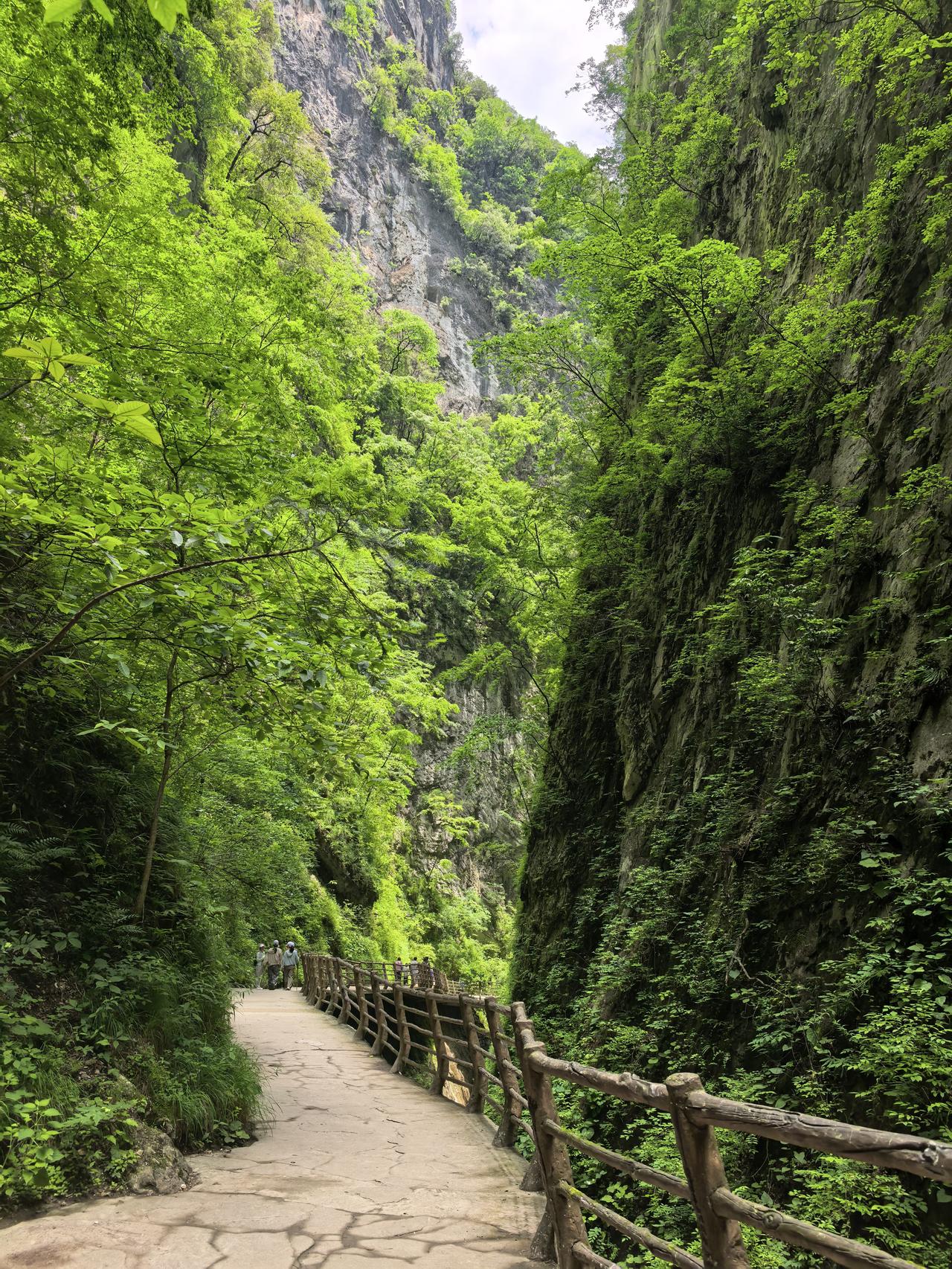 文旅部出手：英籍博主摆拍抹黑女性视频，被限制10年入境，做的好。
       