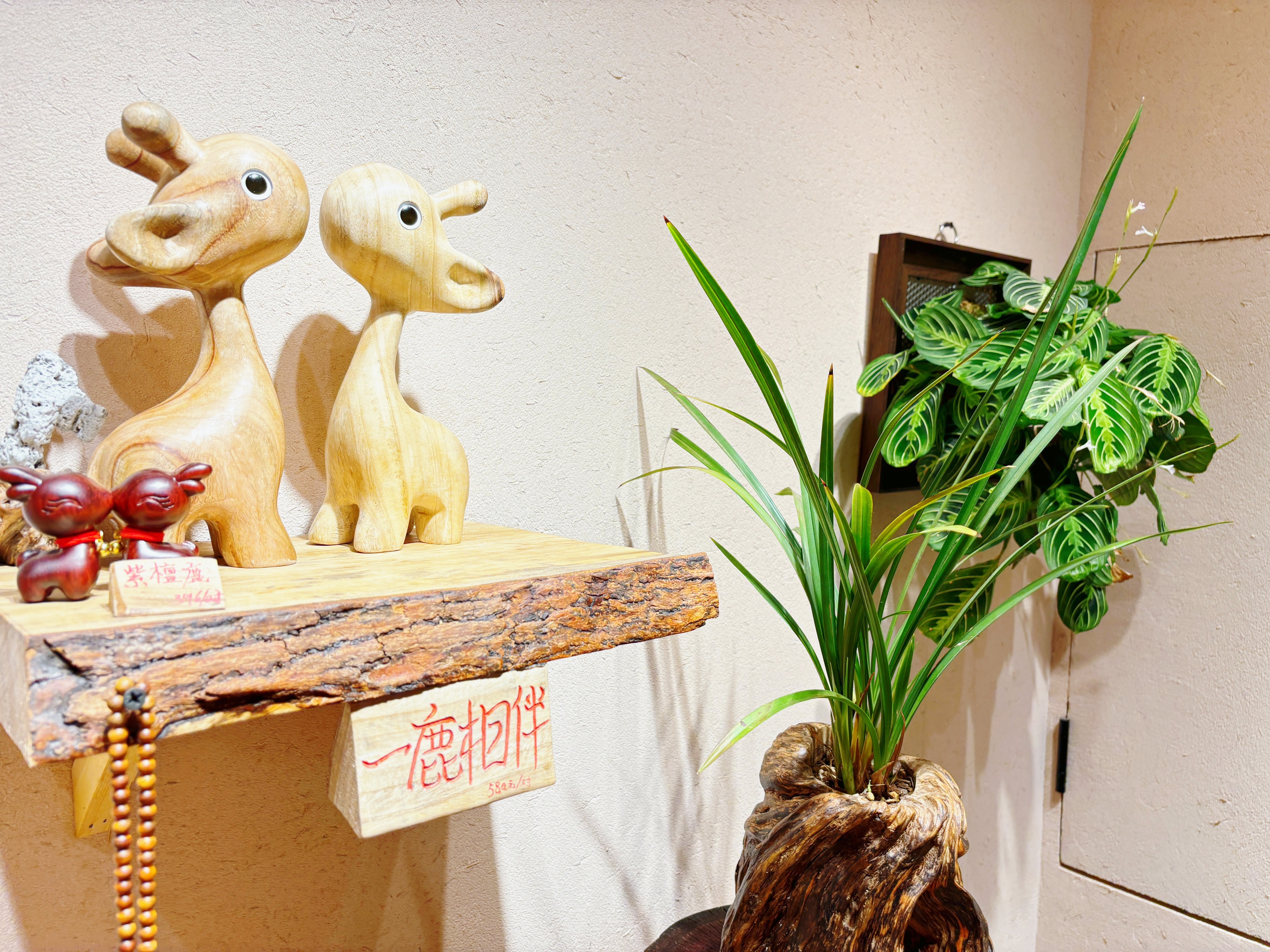 山野寻闲，萱草盛开，登高望一城烟火 
