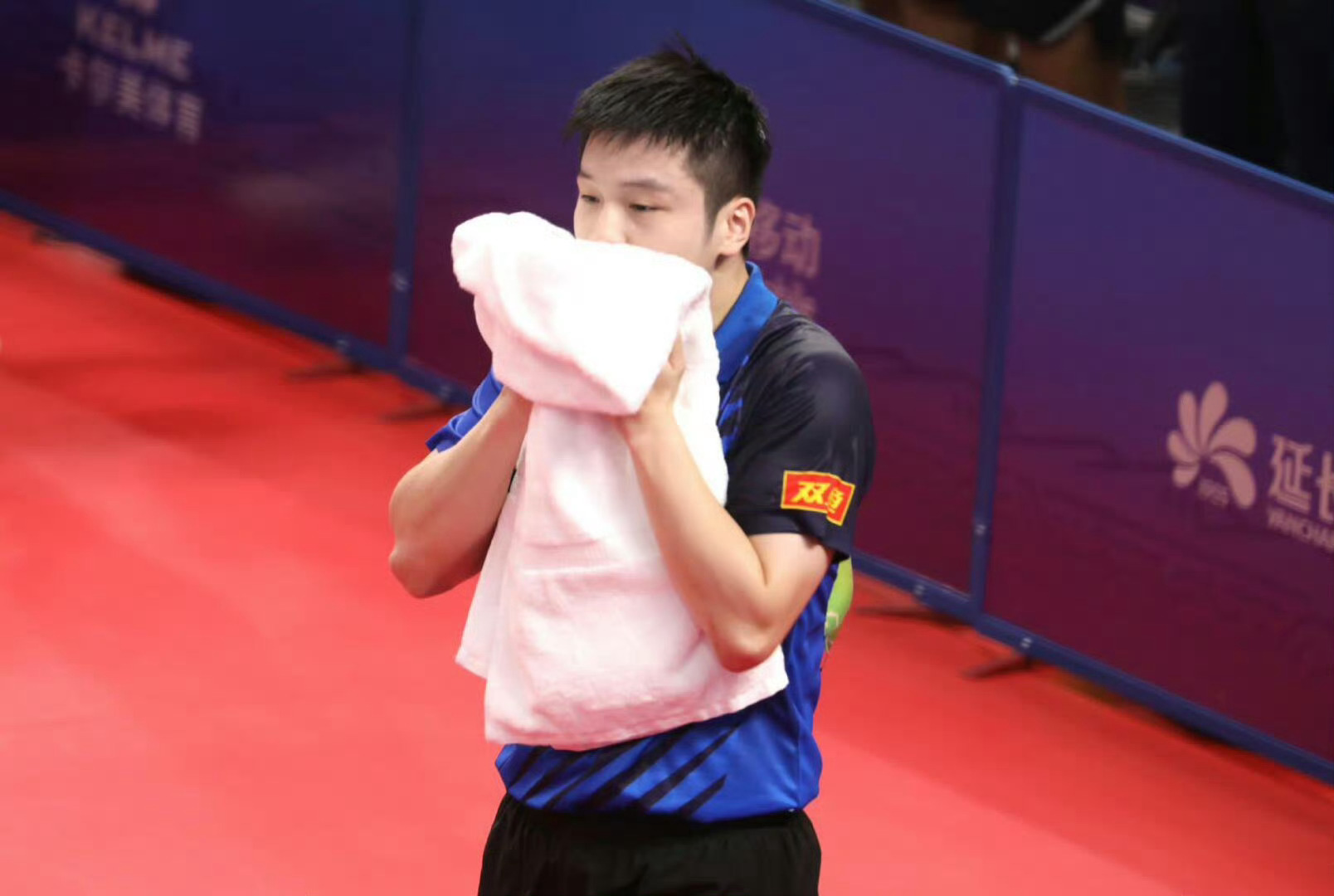 这毛巾一定香香软软的吧，你看咚咚大王这个投入的样子！｜​​​