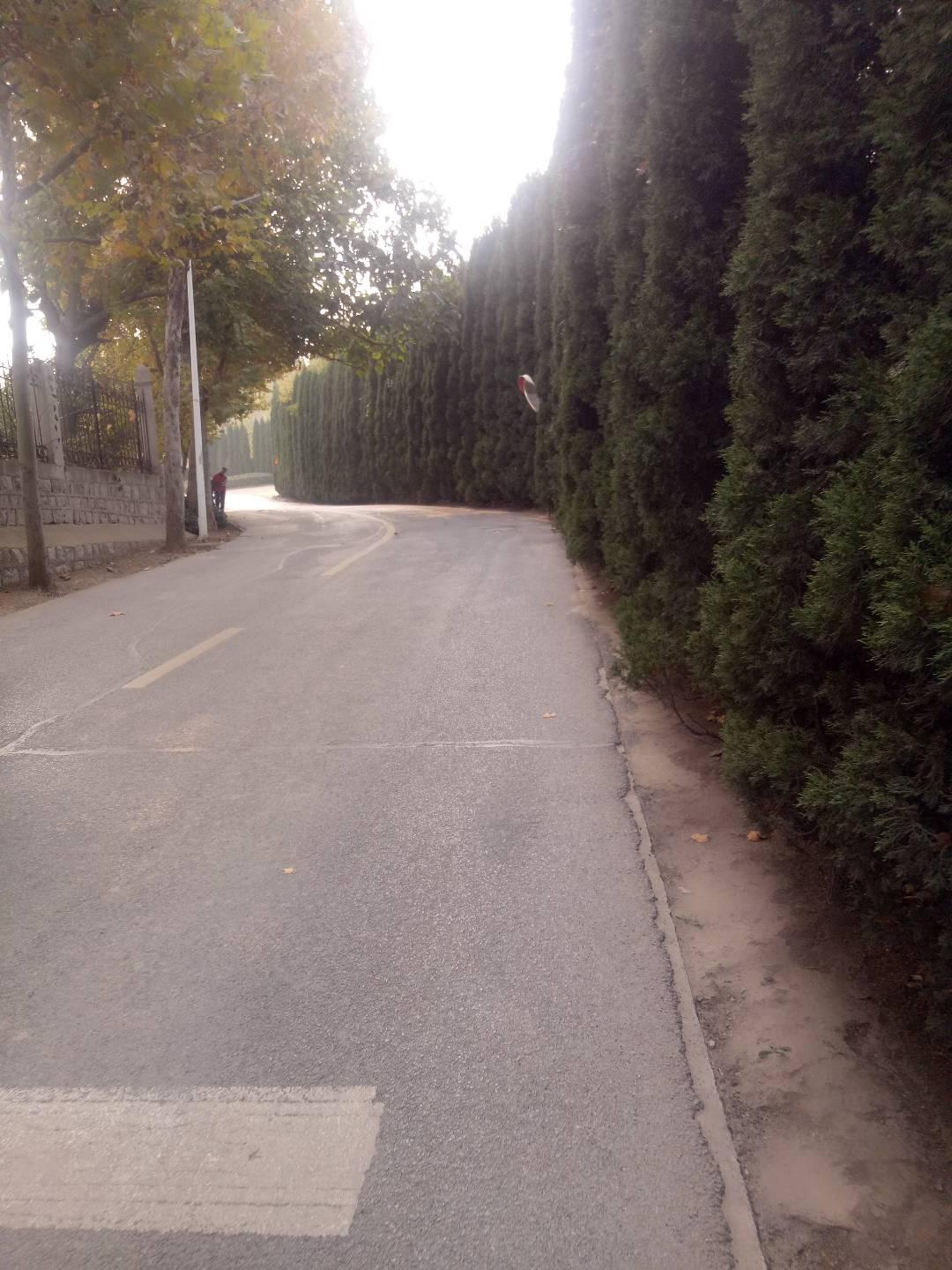 分享你认为幸福生活是怎样的幸福从不是大富大贵，而是平淡安稳。家人身体健康，三餐四