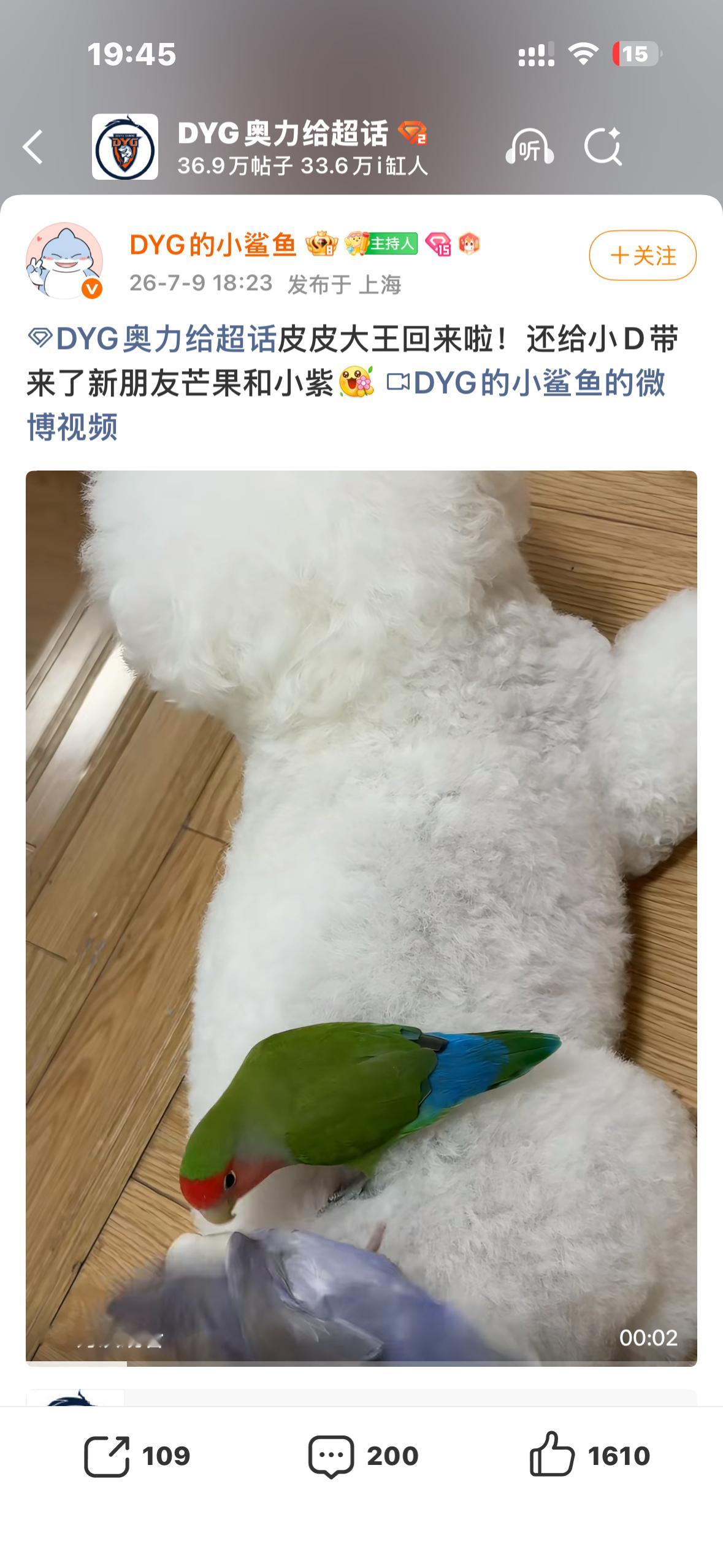 我再也不骂你了你给我放出来呗我想转发