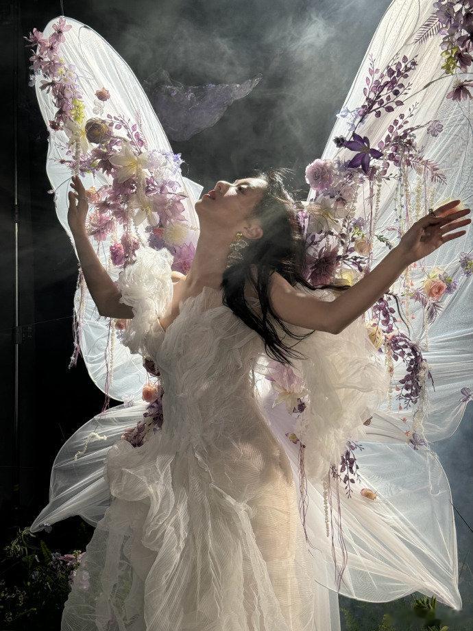 包上恩落入尘间的蝴蝶仙子  她如同那夜空中最亮的星，闪烁着无尽的光芒与魅力。包上