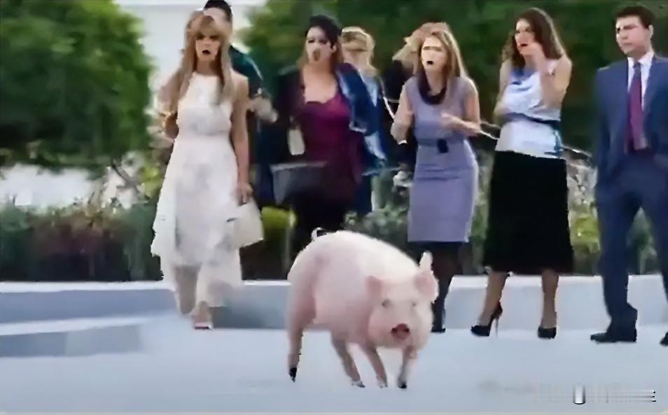 俄罗斯安全会议副主席梅德韦杰夫评论泽连斯基在达沃斯论坛上的演讲:“对于那个在达沃