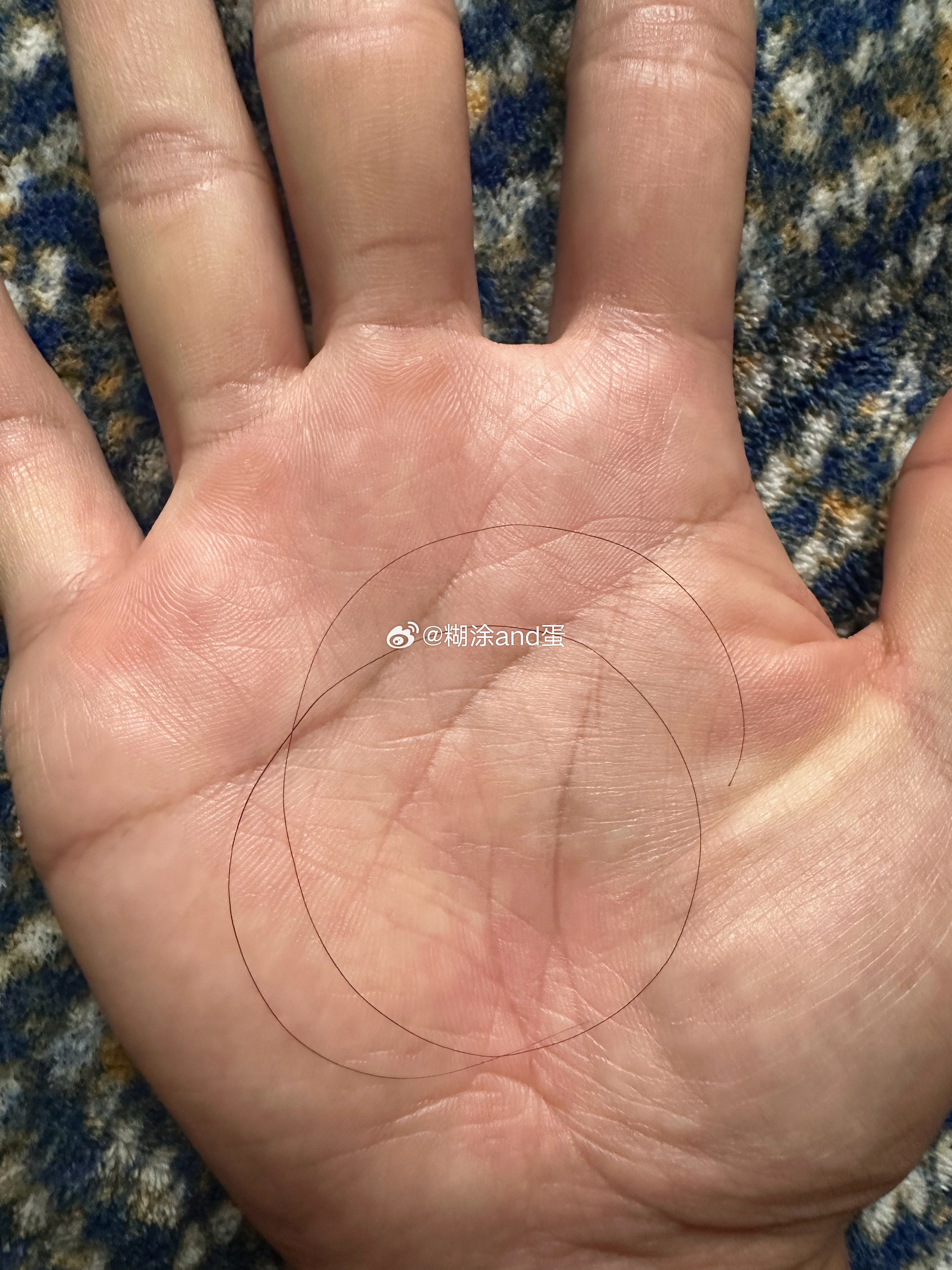 在马桶上发现了一根十几厘米长的长头发！！！室友昨天一早出去上岛钓鱼到晚上回来，回