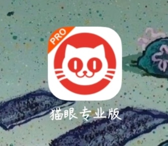 这个暑假最热APP(功夫女足爆开版[吹风车] ​​​