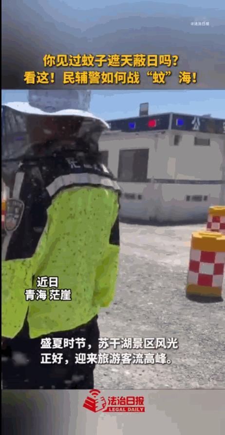 “明知山有虎，偏向虎山行！”青海苏干湖，当无数游客沉醉于盛夏的碧波荡漾与草原风光