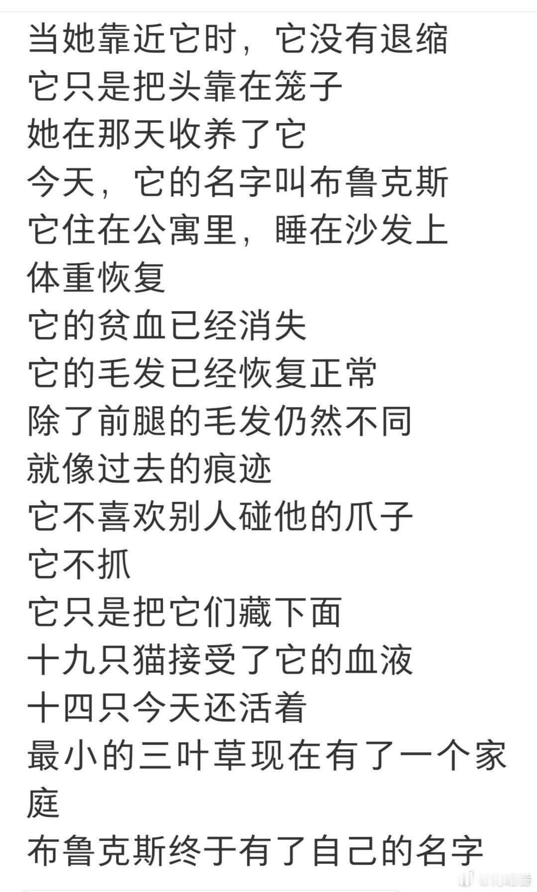 如果你或者你救助的猫狗需要输血，你会怎样做？血猫善待动物关爱生命 ​​​