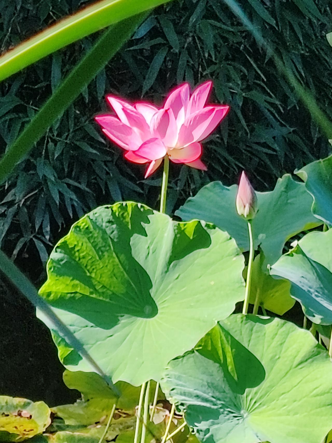 要让水管里的水持续流动，就需要有压力。人亦是如此，若想退休后拥有优渥的生活，年轻