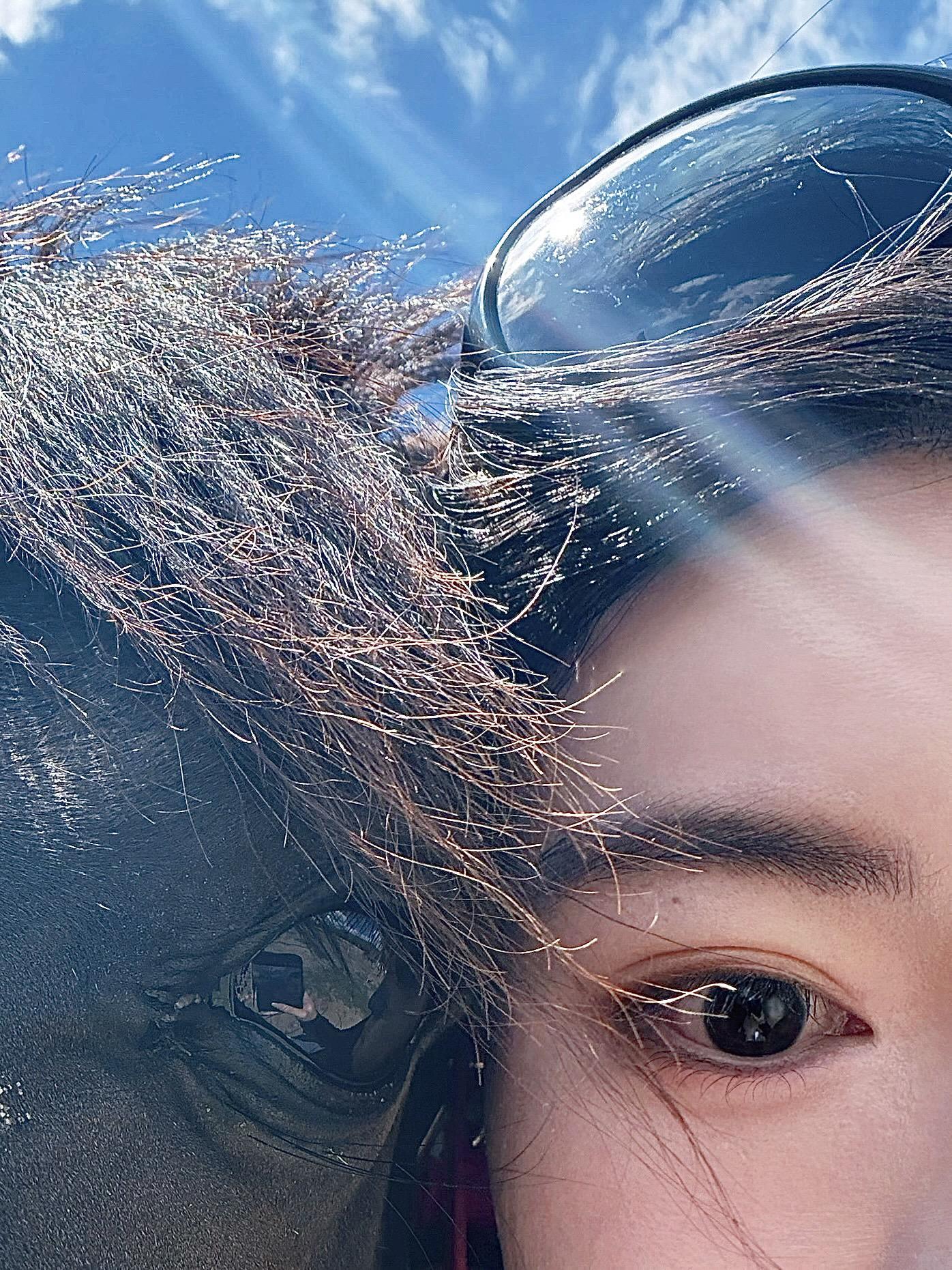 我们从未驯服过马 只是这些高贵的生灵 选择了与人类并肩同行