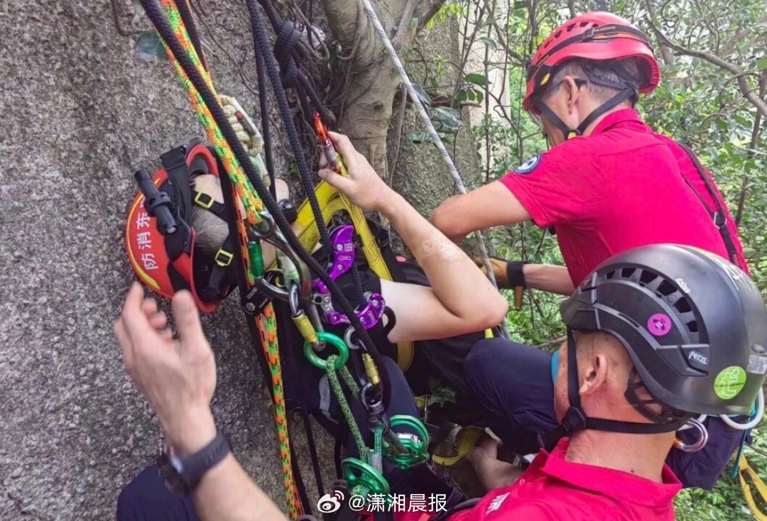 【深圳#男子独自爬野山坠崖挂树上近3小时#被市民发现，救援队员讲述营救过程】6月