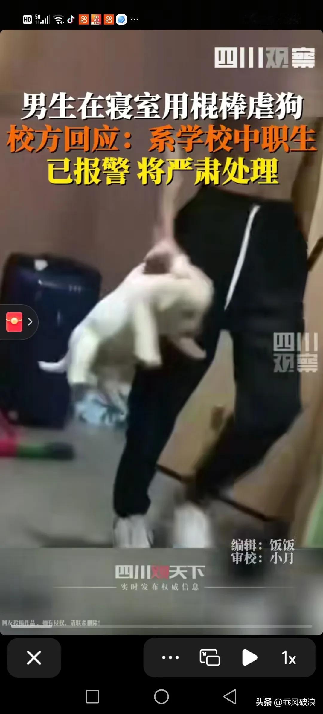 四川某职业学院的一名学生将一只小狗带到寝室，对其进行严重虐待直至死亡。有同学录制