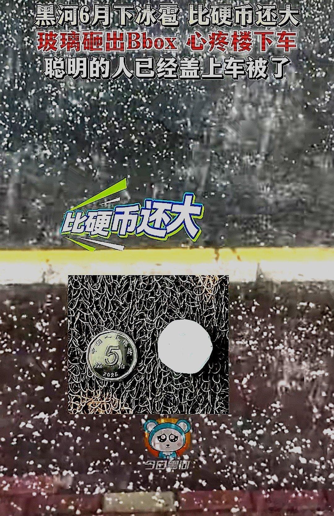 中国大陆黑龙江省黑河6月下冰雹，比硬币还大！玻璃砸出Bbox，心疼楼下车。聪明的