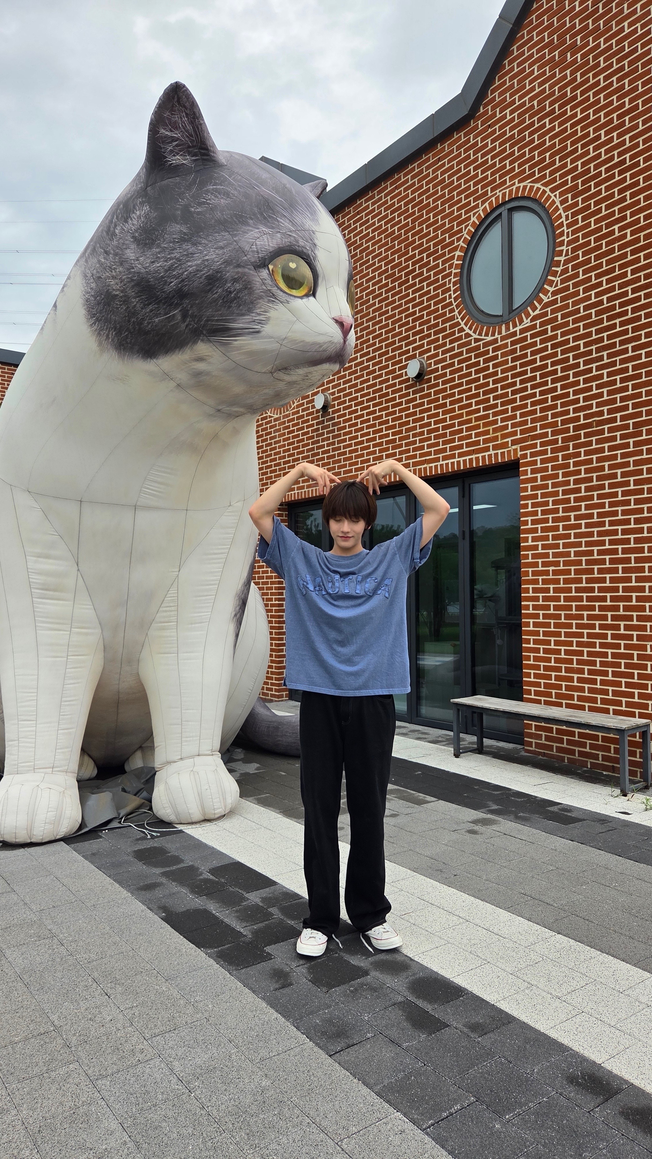 世界猫咪日😺 