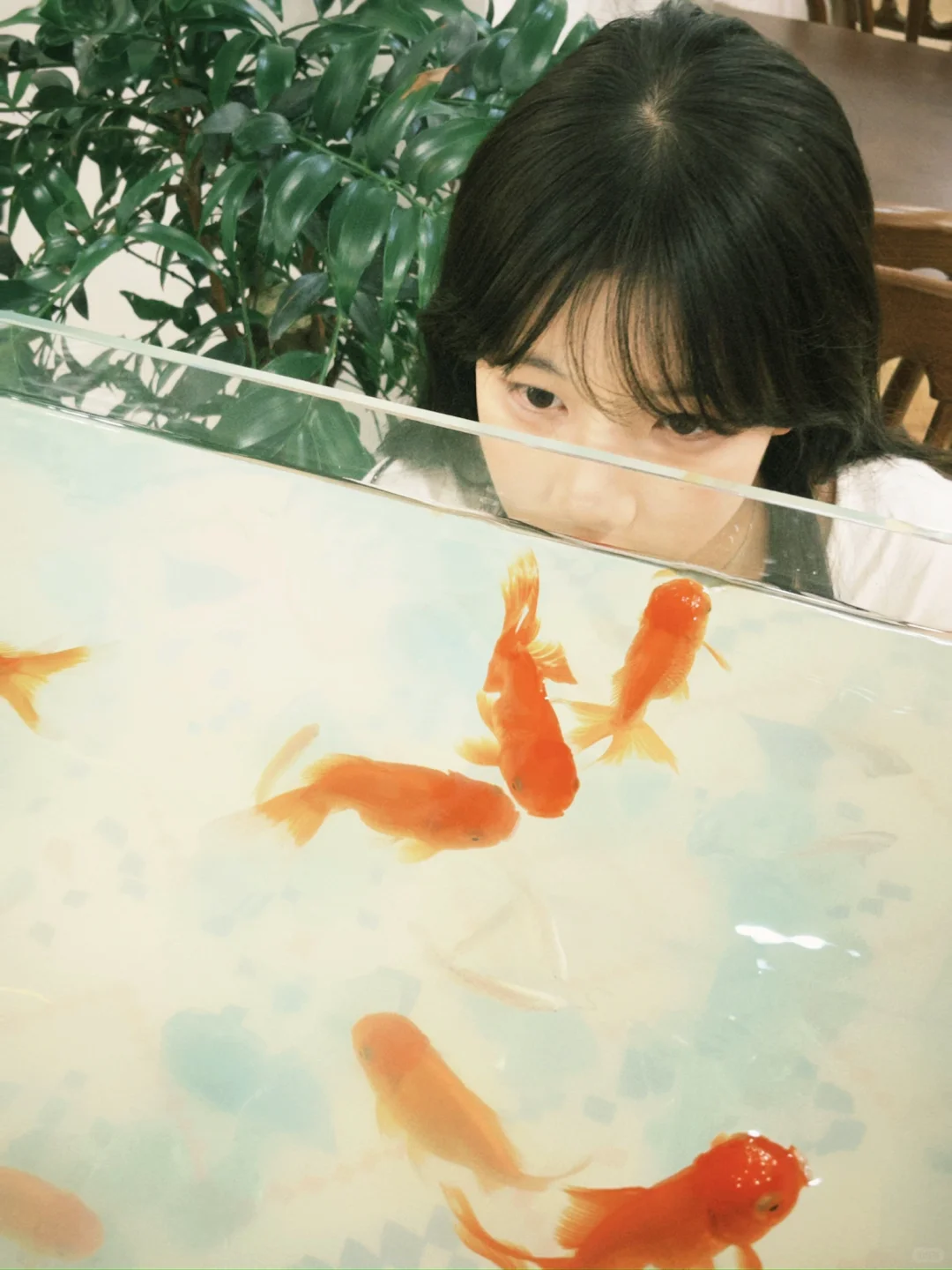 🐟