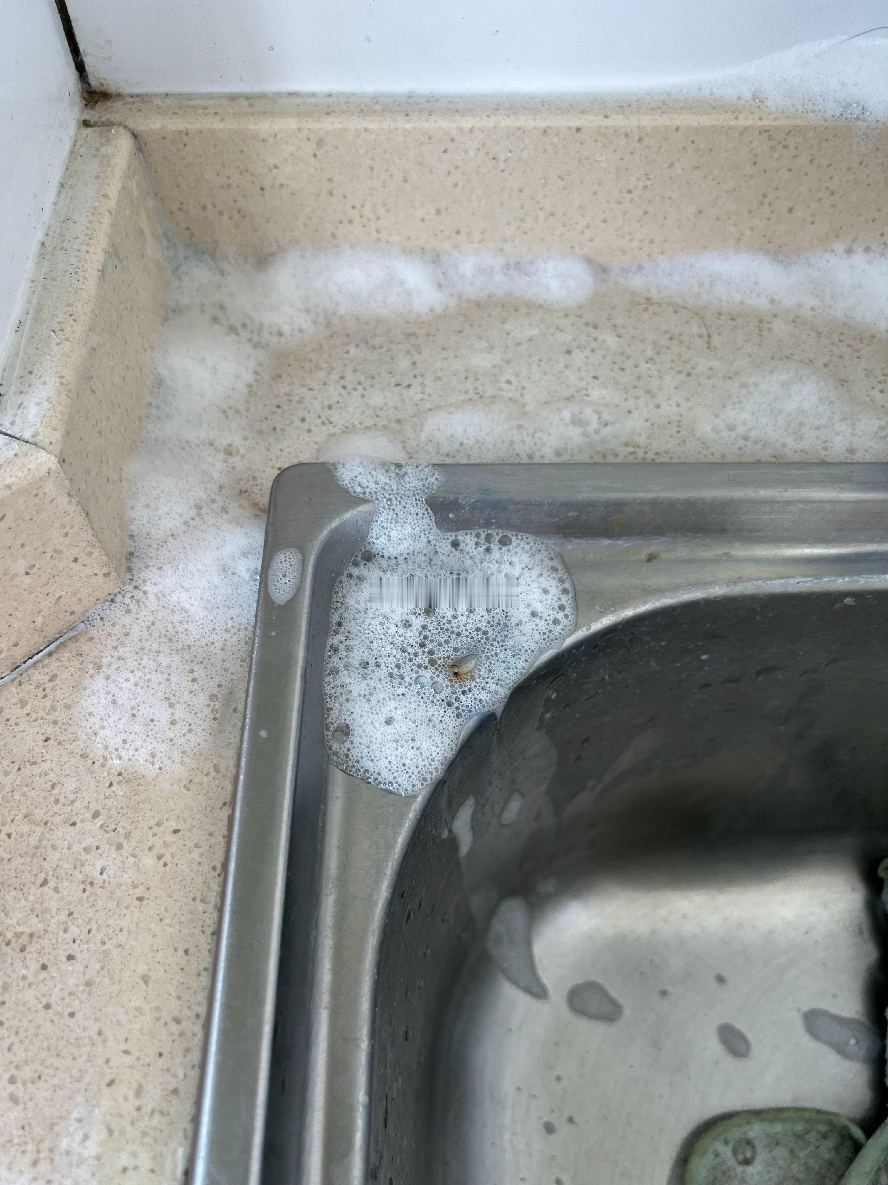 家居收纳  爸爸给鱼喂药弄得到处都蓝了少量多次的用除霉剂反复四五次可以清理干净除