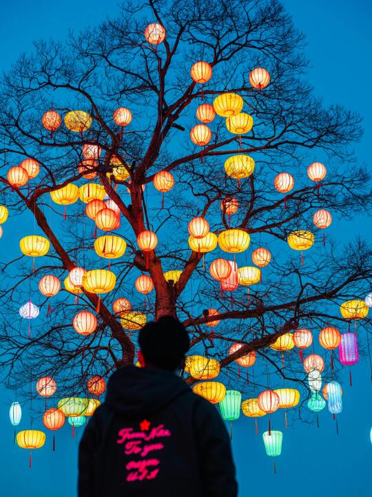 为了这颗孤独又浪漫的树，我特意来了趟杭州！