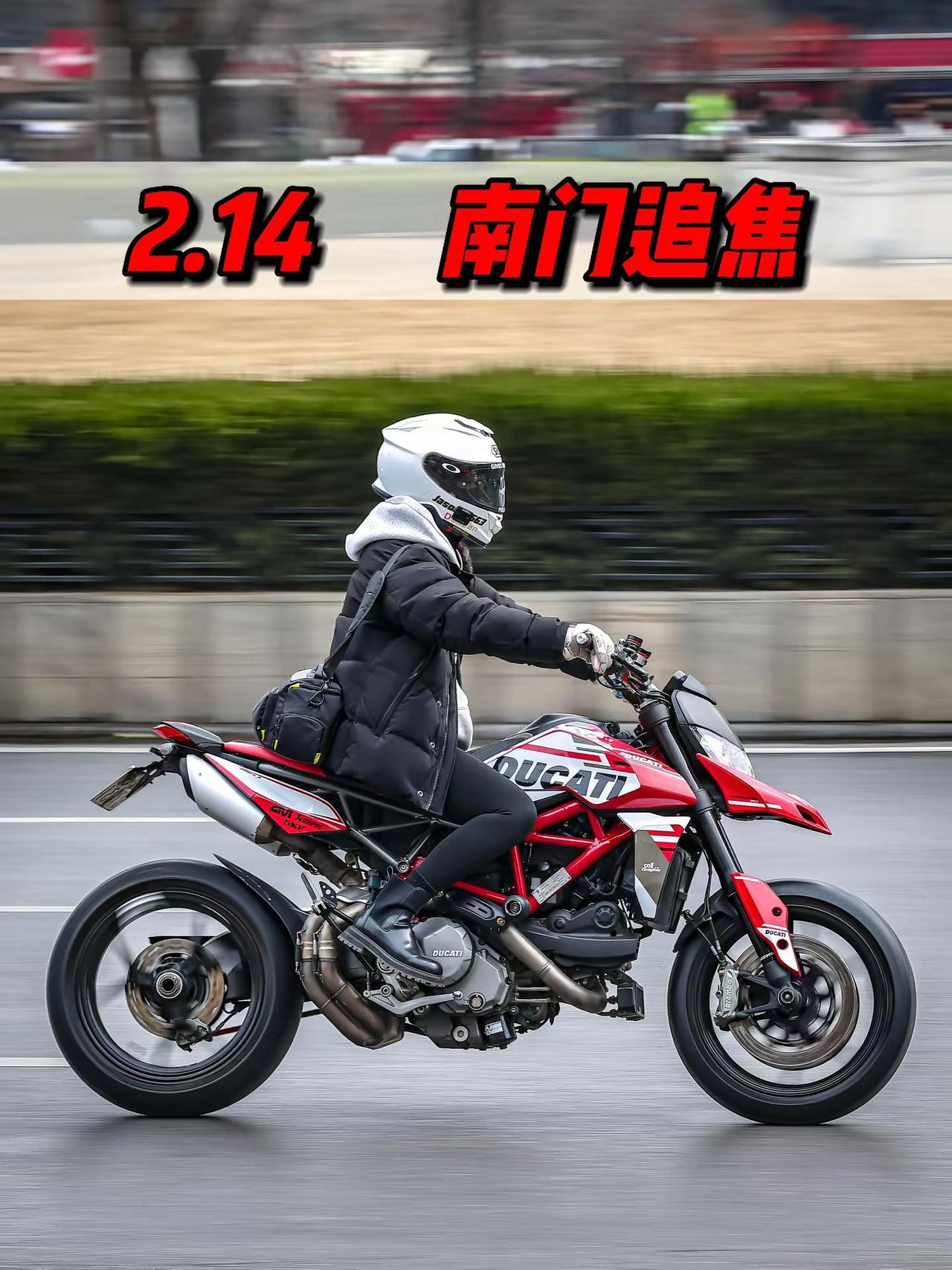 2025.2.14 南门追焦。成双成对的占前排 情人节快乐🌹拍摄时间12:30