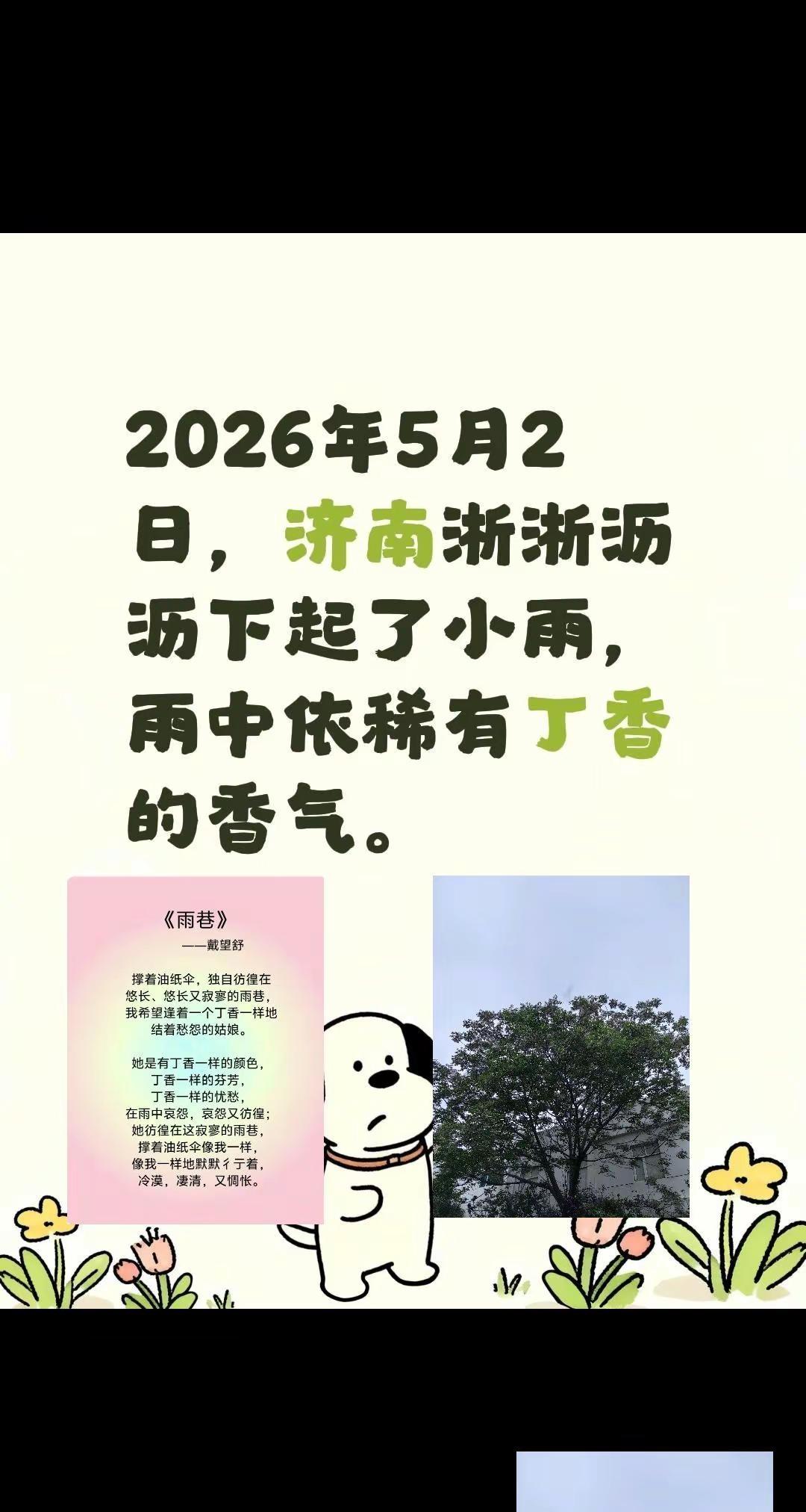 2026年5月2日，济南淅淅沥沥下起了小雨，雨中依稀有丁香的香气。