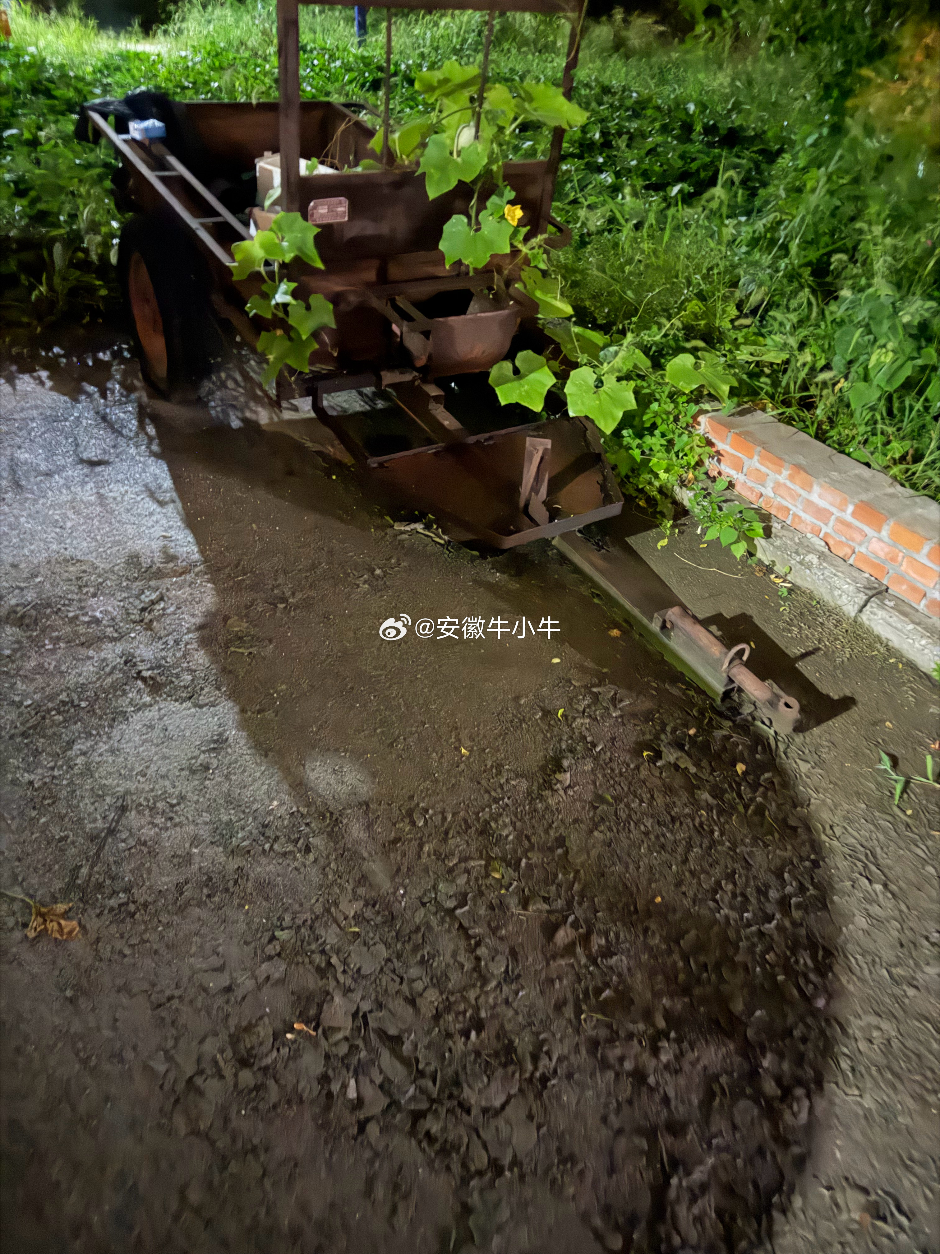 咱们一起拍一部电影吧叫种地去加仓怎么样肯定会火我真想拍 