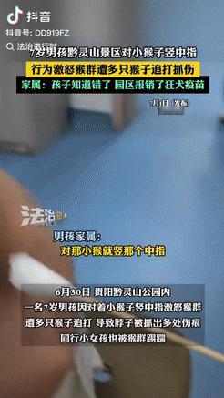 “这就是手欠的后果！”7月1日贵阳，一男孩和父母去景区游玩，中途看到有小猴子时，