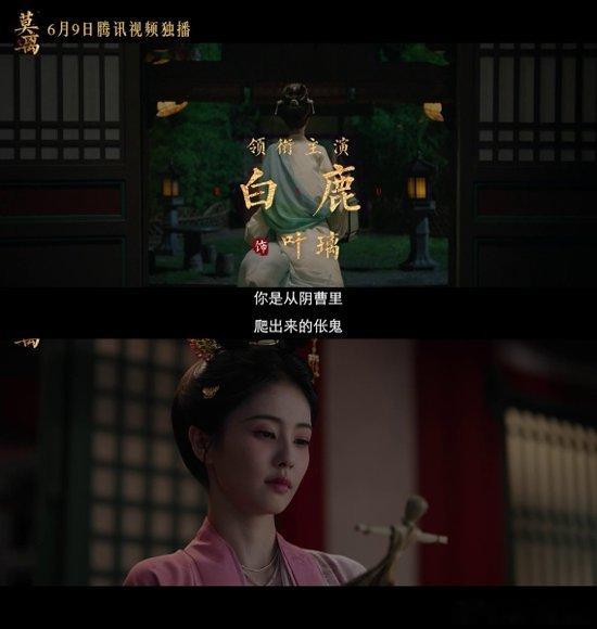 搜白鹿看叶璃鲜活人生莫离 艾特青霜，是不是你又在偷偷给叶璃出馊主意啦，白鹿这精分