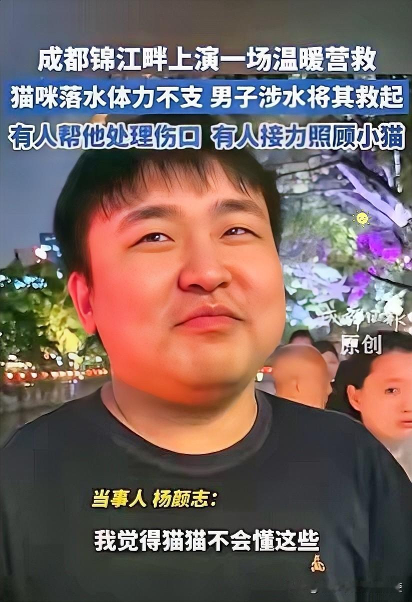破防啦！四川成都，一只白猫不慎落水，苦苦挣扎，一好心男子看到后先是拿长杆尝试营救
