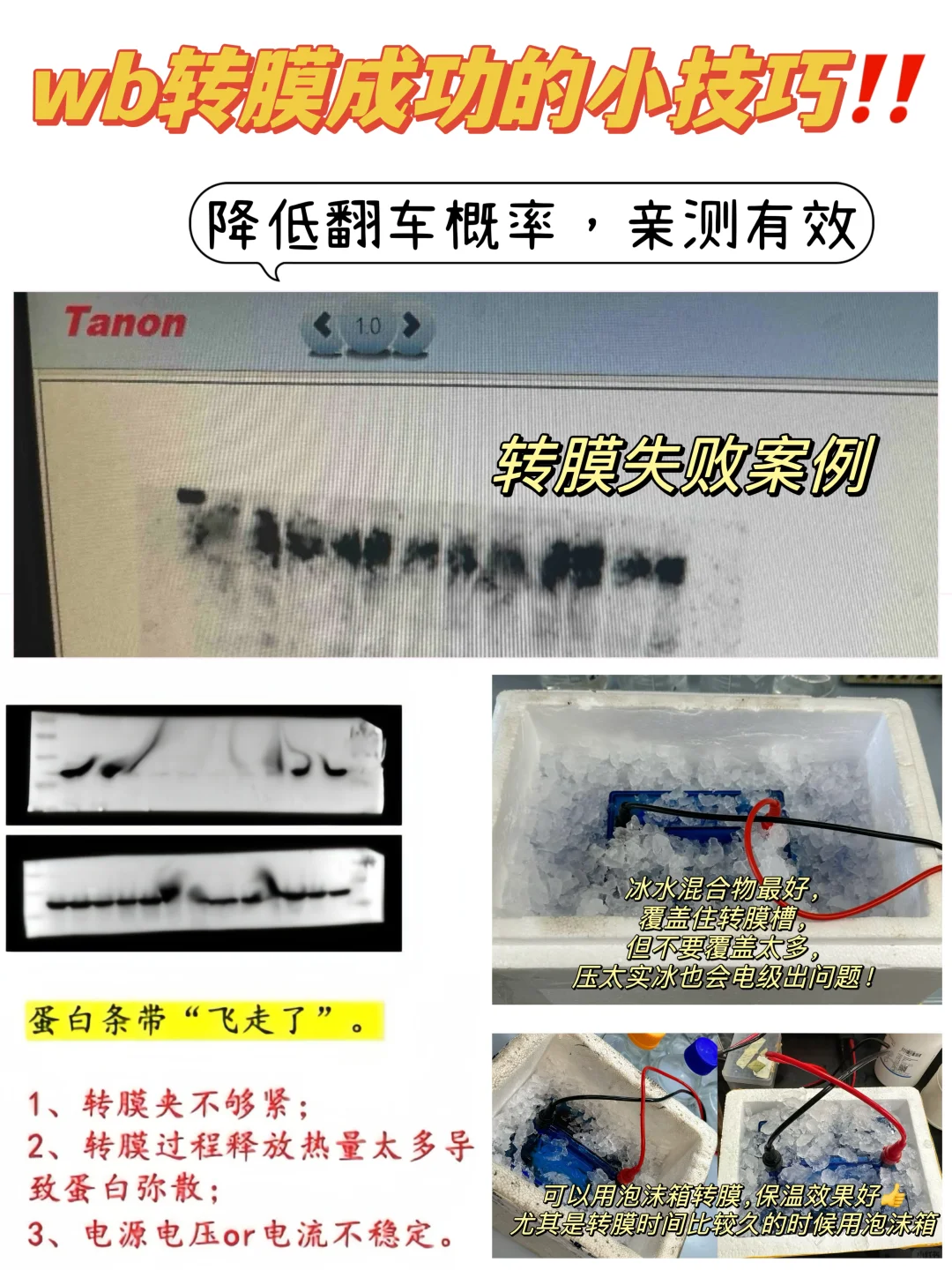 🫴wb转膜不翻车的小技巧总结分享（湿转法）