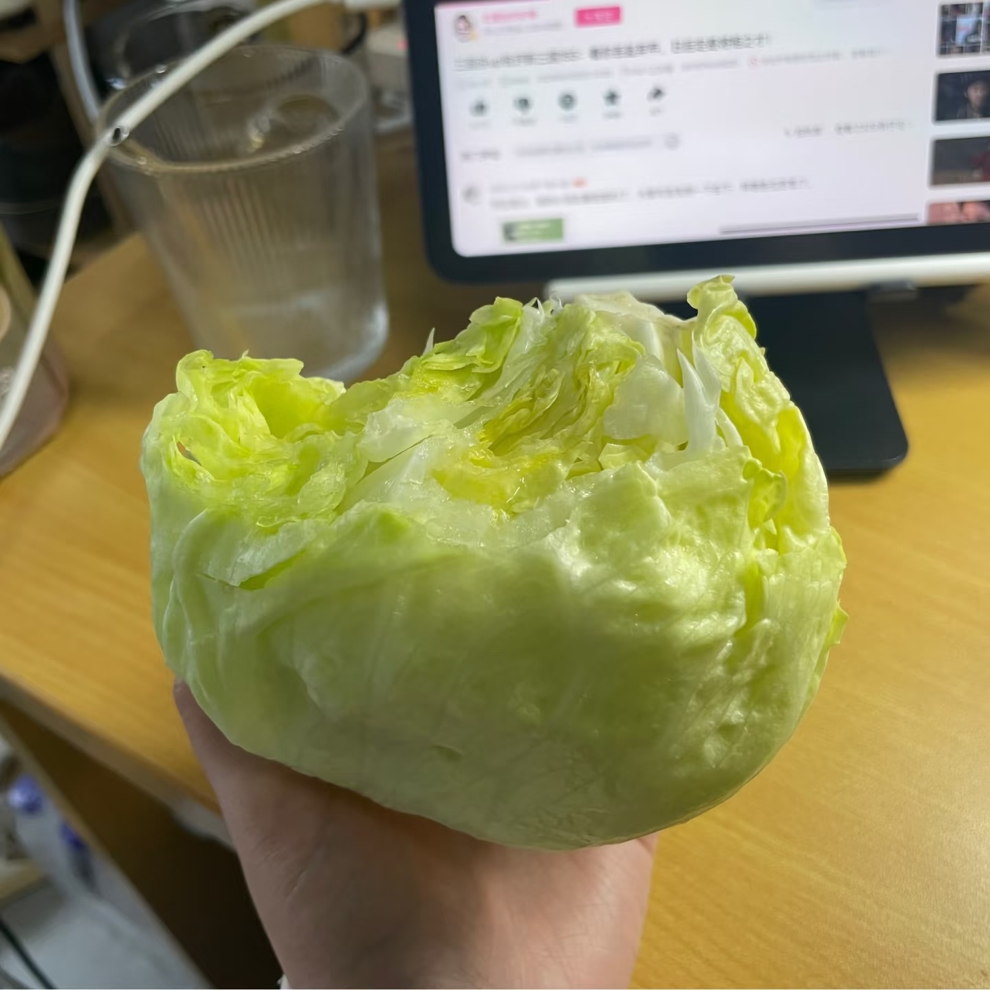 生菜是最伟大的蔬菜减脂期拿起生菜就是啃，啃完哞的一声接着工作，一点都不耽误事，而