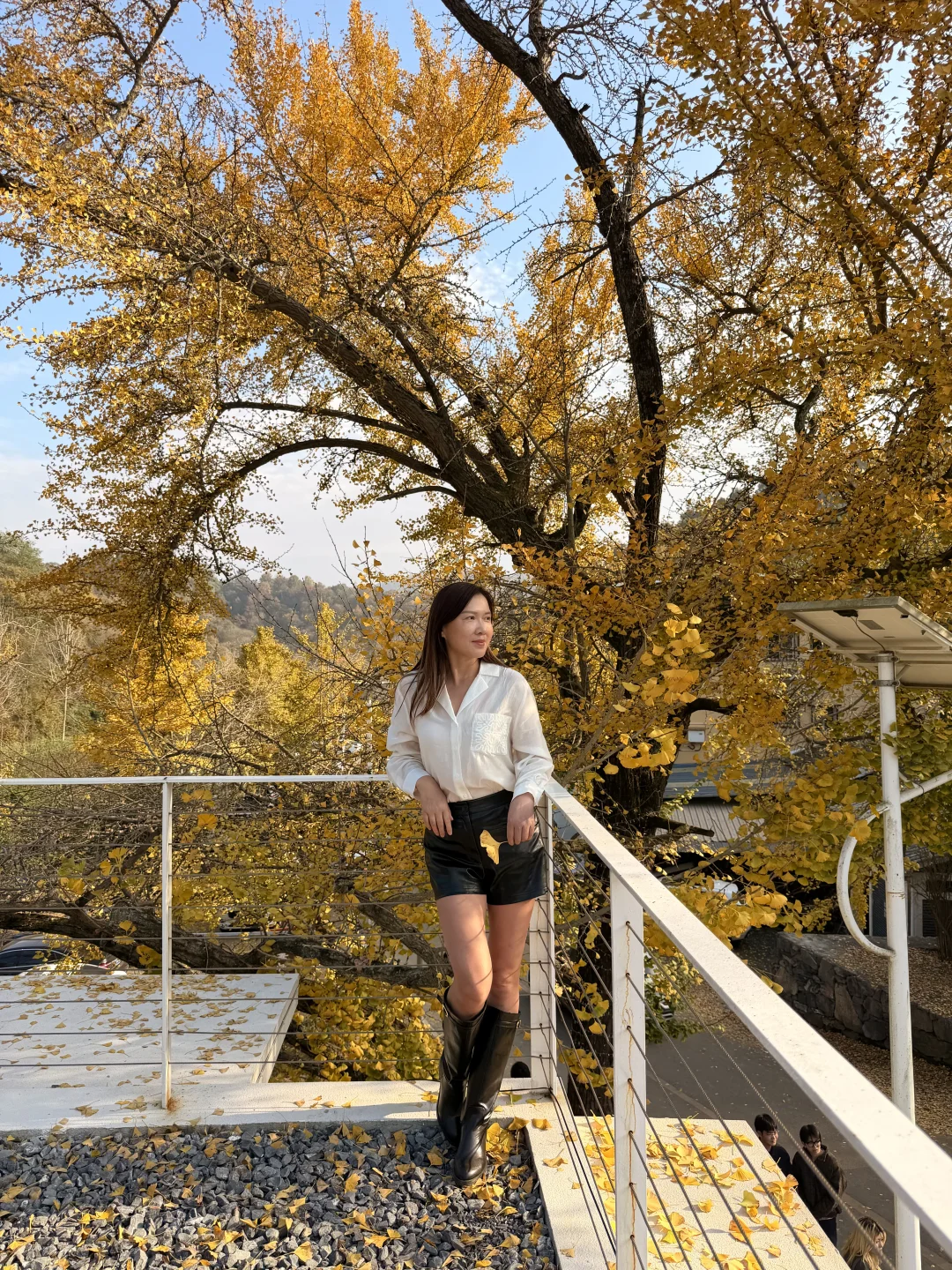 银杏谷人太多，那就选个村庄看银杏