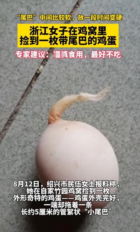 太离奇了！浙江绍兴一位女子在自家鸡窝里捡到一枚鸡蛋，结果蛋壳一端拖着一条5厘米长