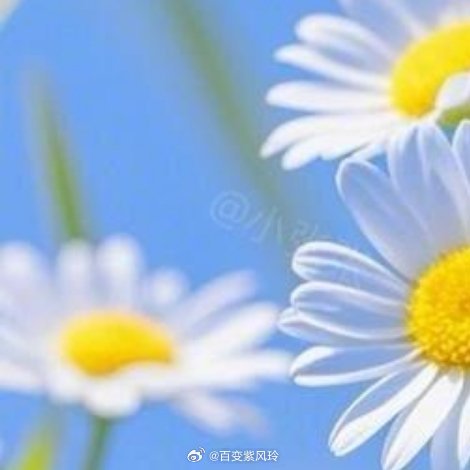 生活如果不宠你，更要善待自己，人这一生，风雨兼程，就是为了遇见更最好的自己！你若