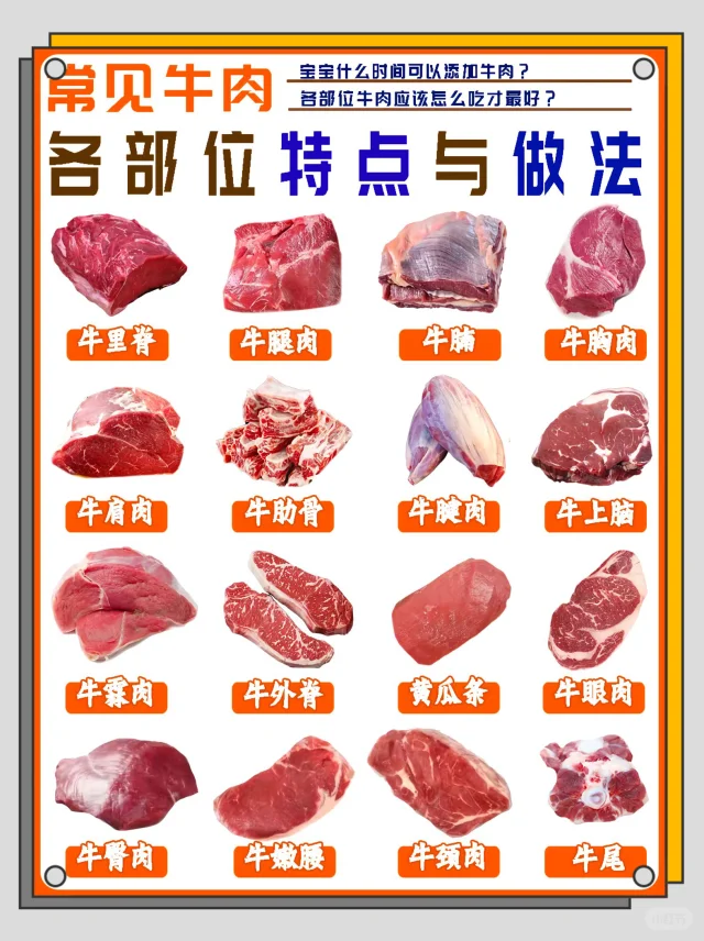 牛肉各部位攻略 | 吃对不踩雷💥