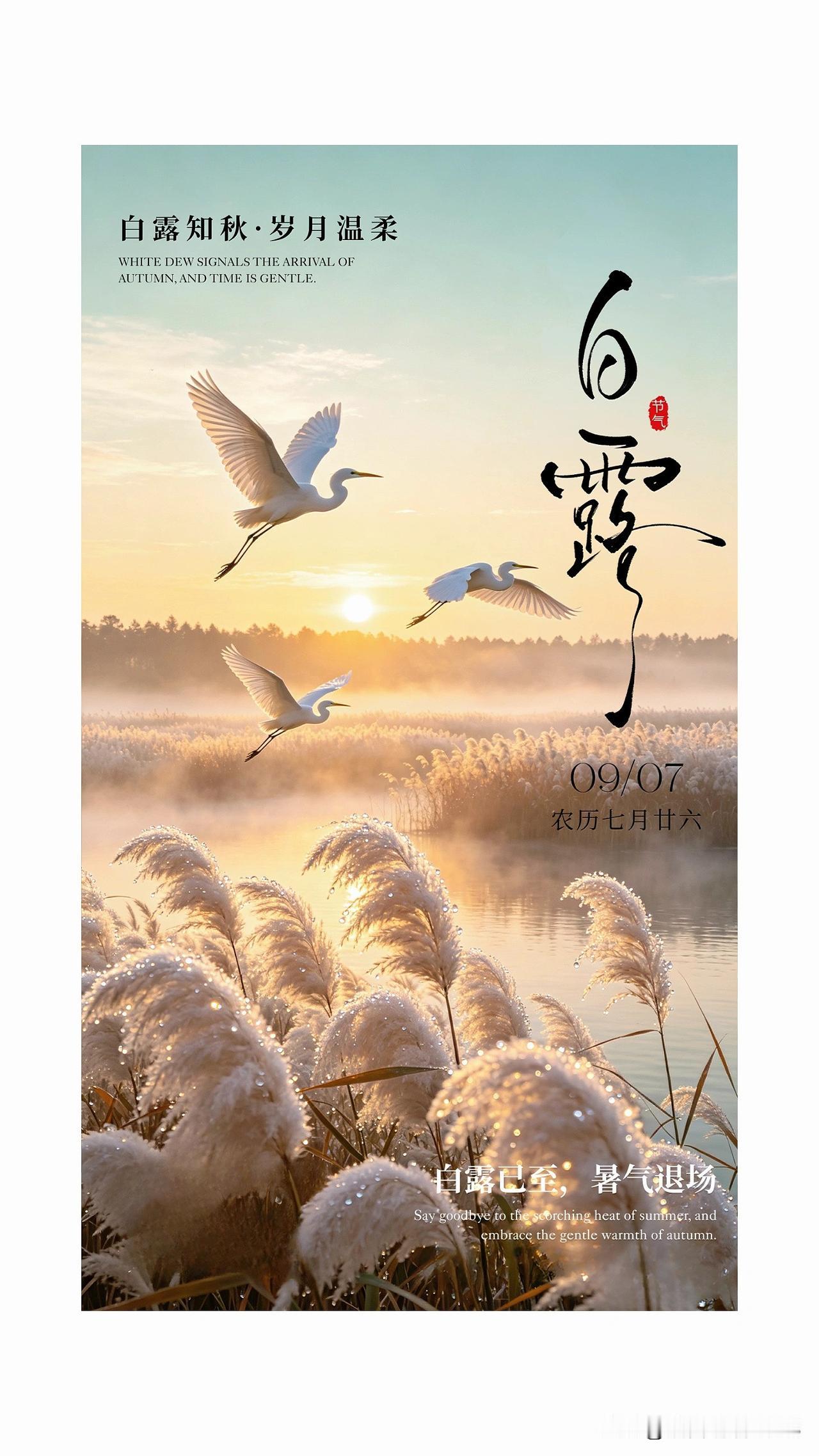 ²⁰²⁶/₀₉.₀₇ 周一｜一键复制发⭕，今日白露，愿日子温润，岁岁安康🍂✨
