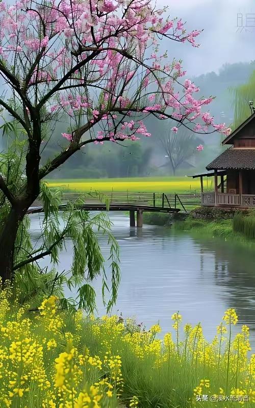 天净沙·春晨偶得
斜月莺语如烟，
柳丝垂水如弦。
雨后桃花正妍。
春江景绚，
胜