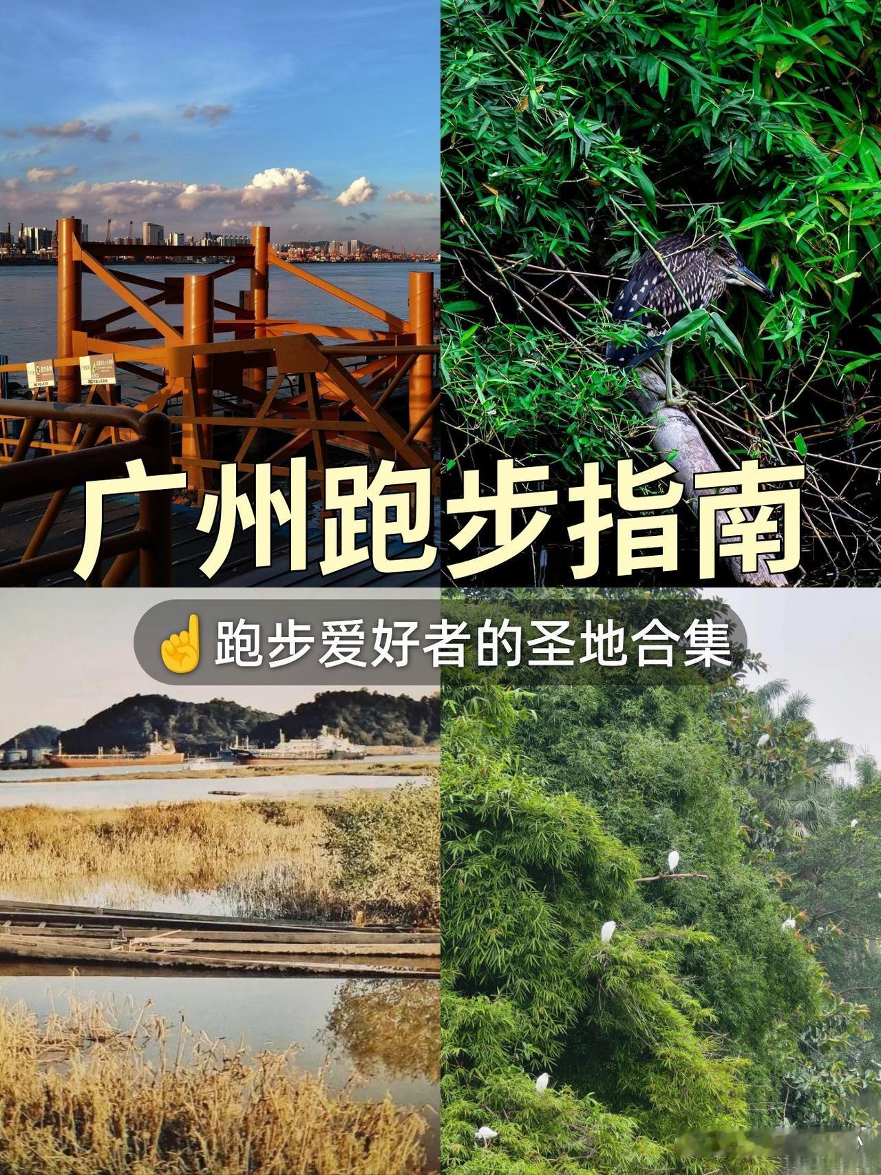 长洲岛漫游指南｜春日轻运动天花板

春日的长洲岛美到不想回家！🌿作为常年混迹城