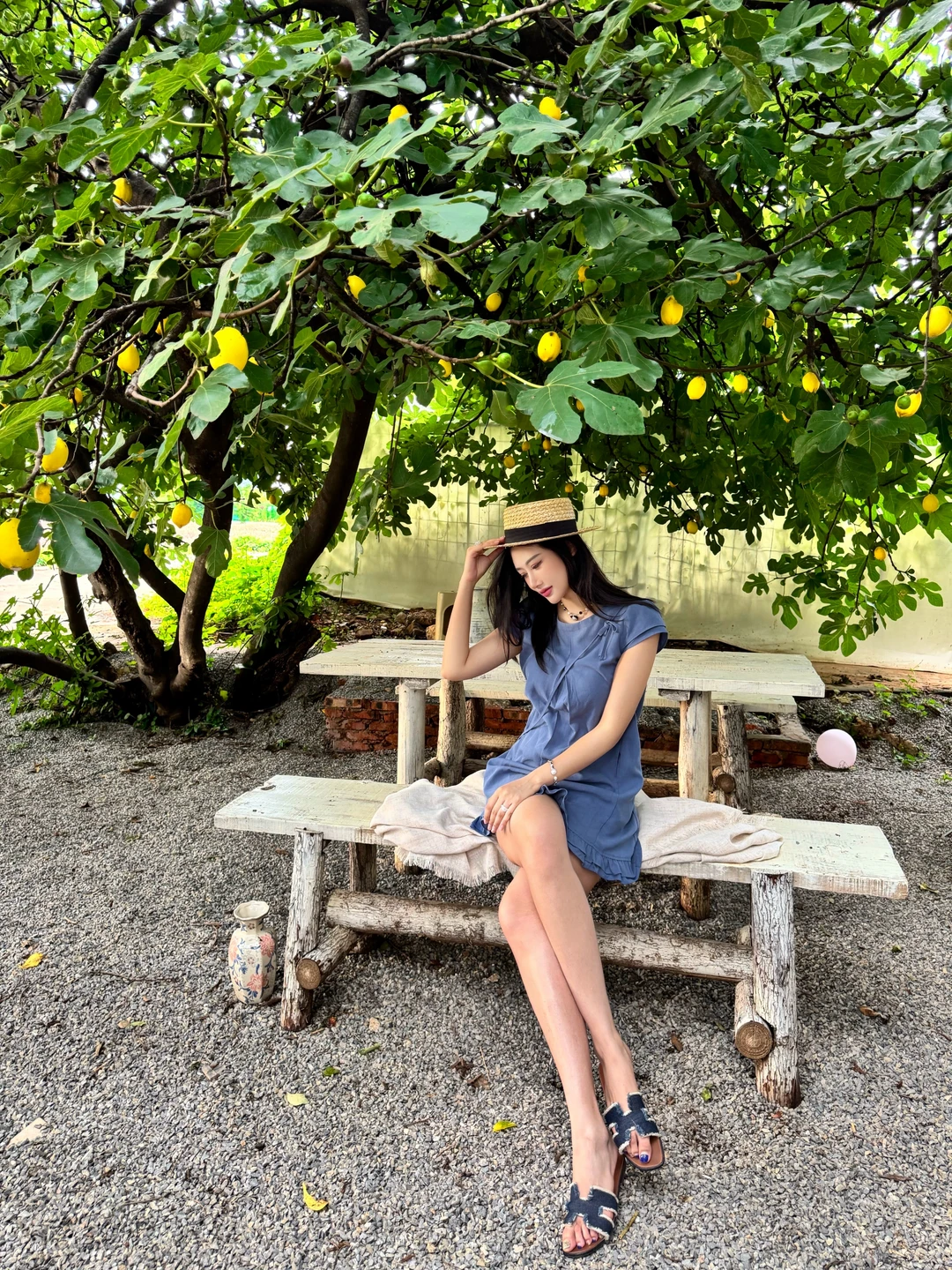 柠檬树下你和我🍋