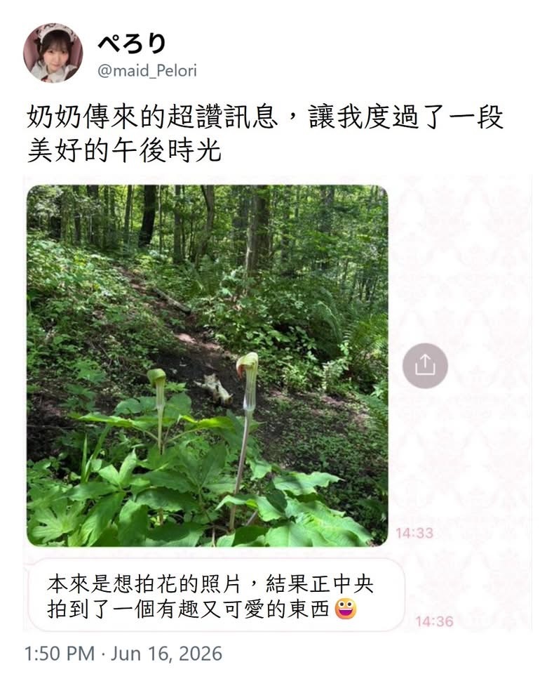 奶奶发来的可爱照片