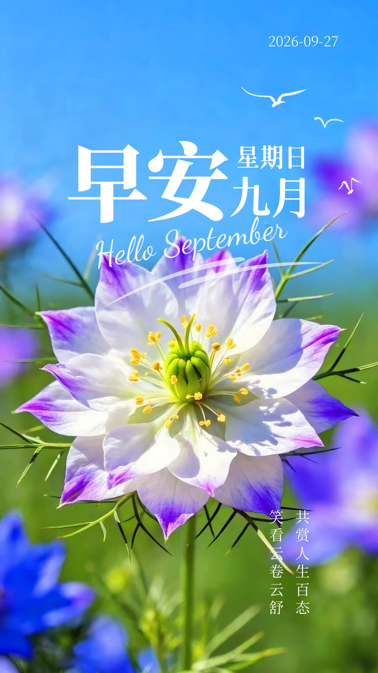 2026.9.27周日早安祝福图片海报壁纸拿图吱一声噢～ 