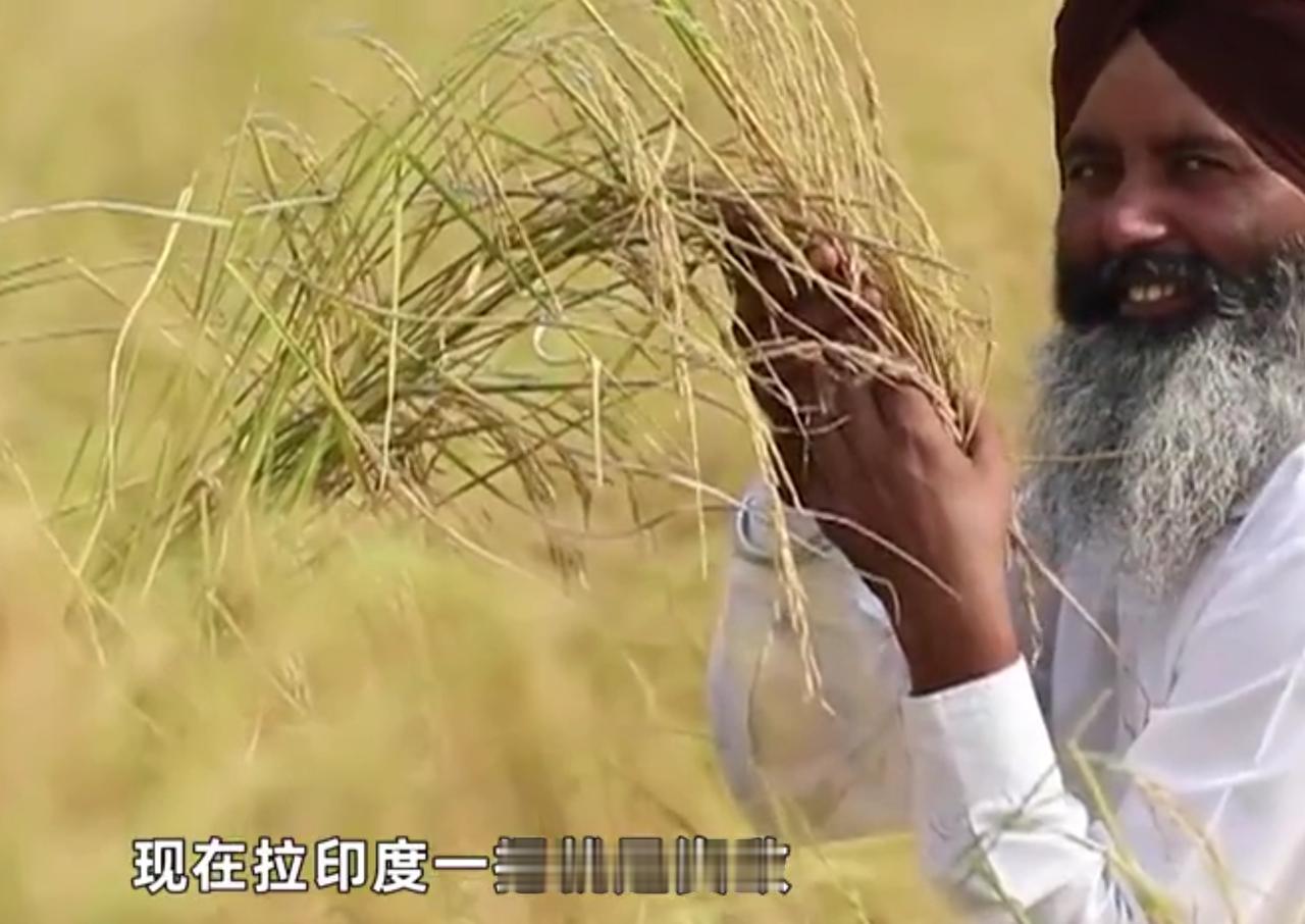 中国真的不能再当滥好人！帮印度就是资敌。

大家别忘了，中印边境多少矛盾、多少次