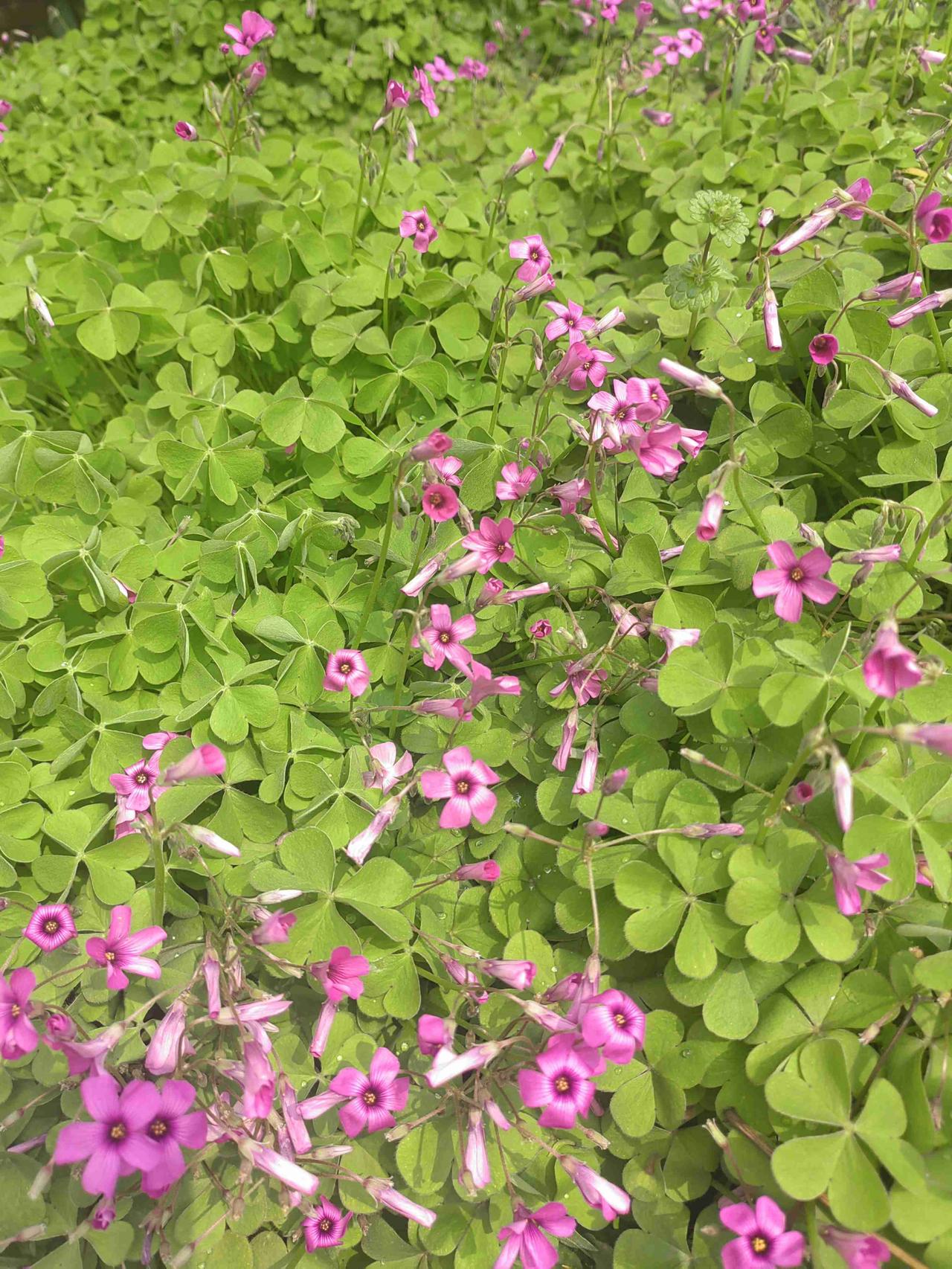 我的今日状态：😁轻松愉快
我这里的天气：☀️晴天