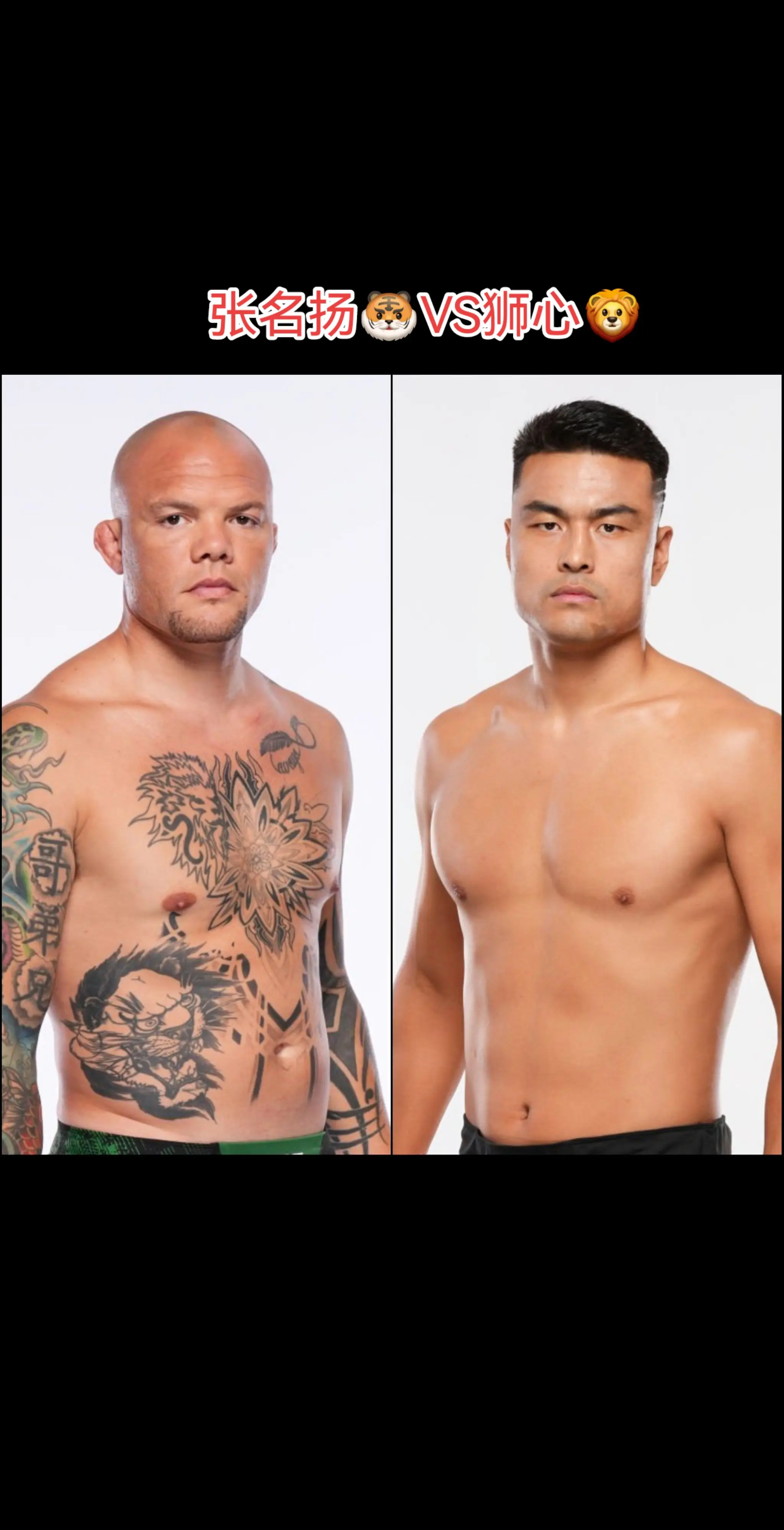 张名扬VS狮心。安东尼·史密斯将于4月26日在张名扬 张名扬