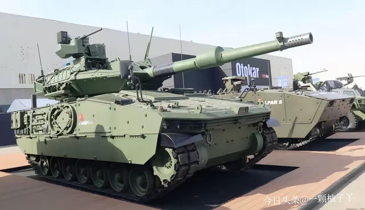 哈萨克斯坦一门心思抱紧土耳其大腿，还把人家的武器生产线直接搬回了家。
哈国本土的