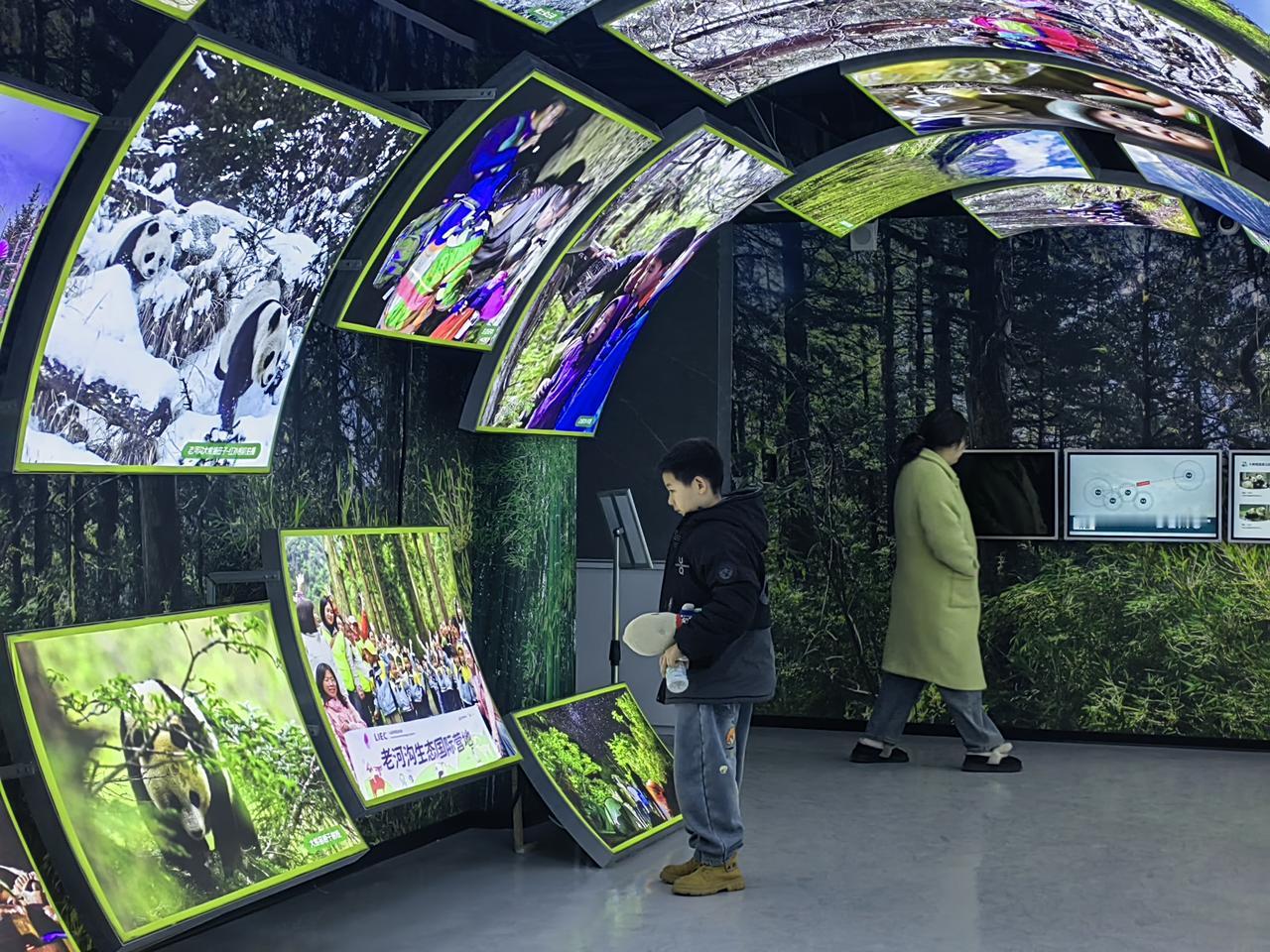 当今社会没有钱能行吗钱啊，虽不是万能的，但没钱却是万万都不能的。比如，你生病了要