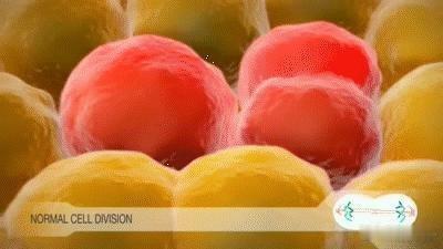 俗话说“病从口入”，“癌”字有三个“口”，其与饮食的关系非常密切。医生提醒，有六