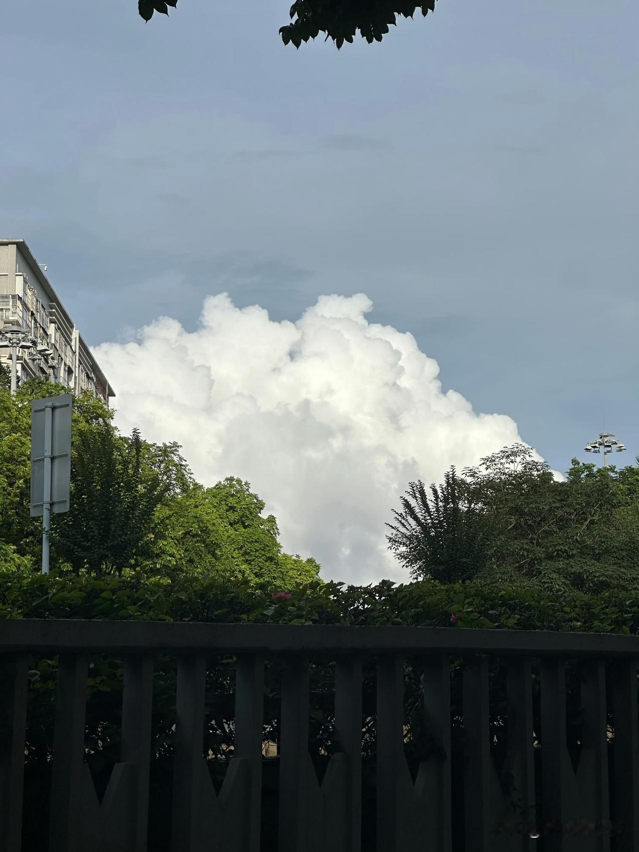 不穿的衣服 鞋子尽量扔，一季度留三套够用，要用再买，一季度的换洗一登机箱装得下，