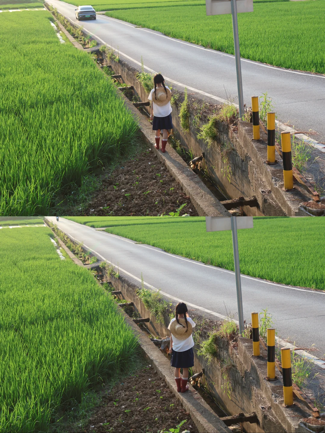 夏日稻田🌾森系电影感📸